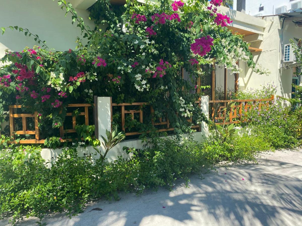 Bougainvillea Inn - Maldives Fulidhoo Exterior foto